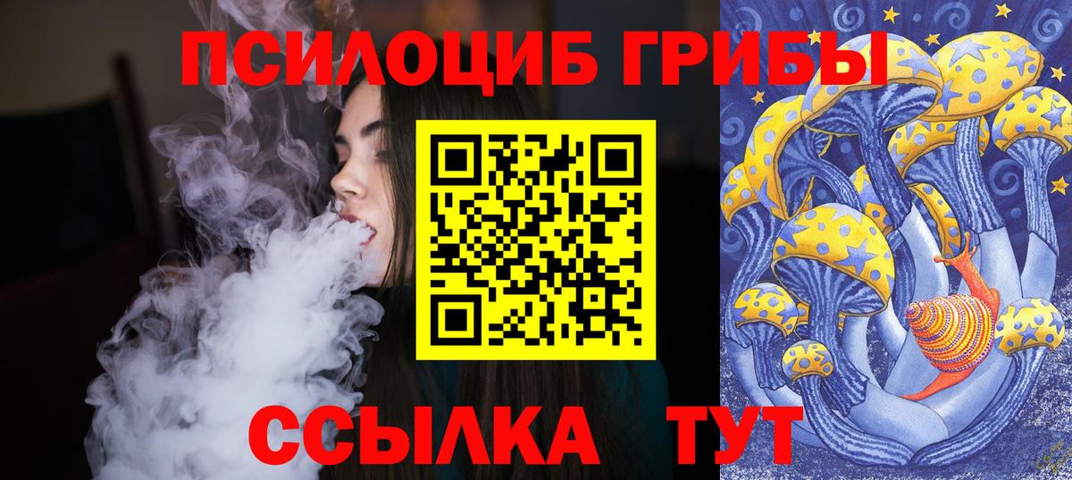 Галлюциногенные грибы мухоморы Нижнеудинск