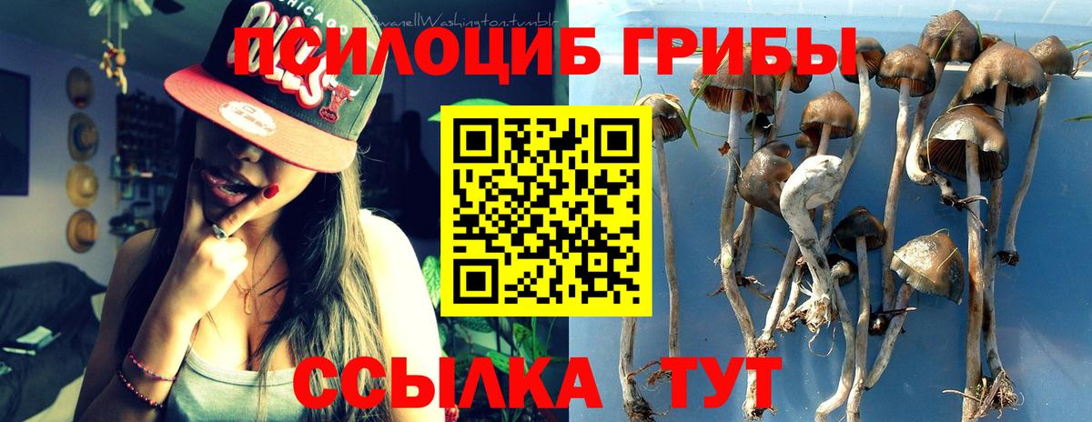 Нижнеудинск  Псилоцибиновые грибы ЛСД  что такое наркотик  Галлюциногенные грибы ЛСД  Вход с VPN 